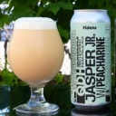 Fidens -- QDH Jasper Jr. w/ Peacharine -- July 8th