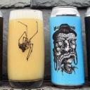 Freak Folk -- Shrunken Head -- July 22nd