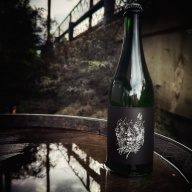 Freak Folk -- In Dreams [750ml] -- Summer 2026
