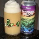 Fidens -- DDH Flowers in Bloom [8% Double Double!] -- July 13th