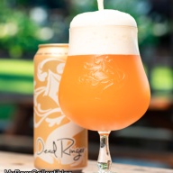 ***1 Can Tree House Dead Ringer***