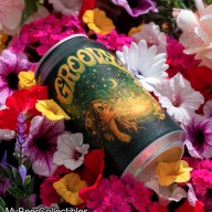 ***1 Can Tree House Groovy***
