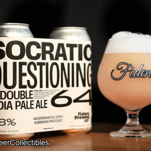 Fidens -- Socratic Questioning #64 -- July 29th