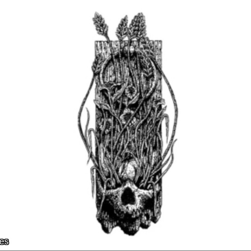 Freak Folk -- Skeleton Key --  Sept 2nd