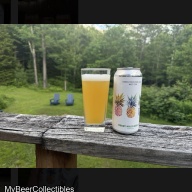 Mount Holly Beer Co. [VT] -- Green Mountain Gold [6.7% Small Batch VT Hazy] -- Aug 13th