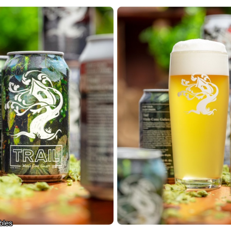 Tree House -- Trail: Whole Cone Galaxy -- Sept 23rd