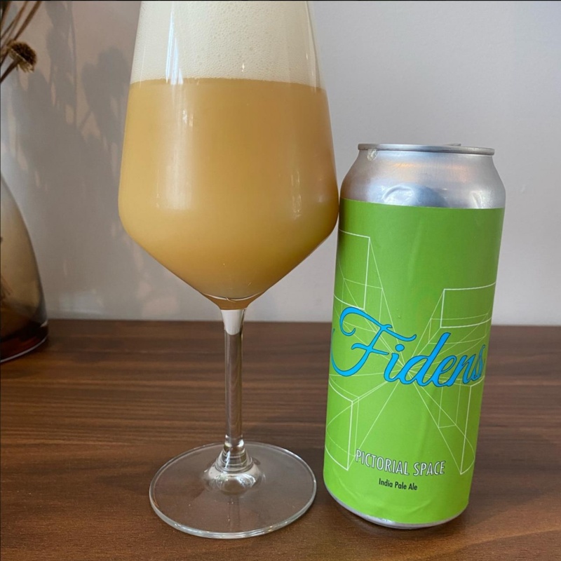 Fidens -- Pictorial Space -- Sept 15th