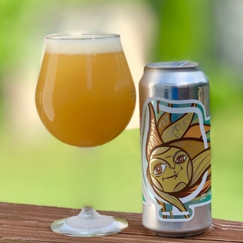 Foam Brewers -- Another Trip Around the Sun DIPA -- Apr 20th