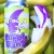 Aslin Purple Banana