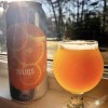 Tree House -- Julius -- May 17th