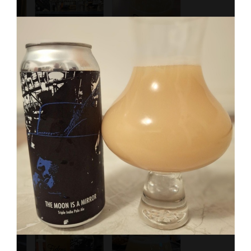 Fidens -- The Moon is a Mirror -- Nov 6th