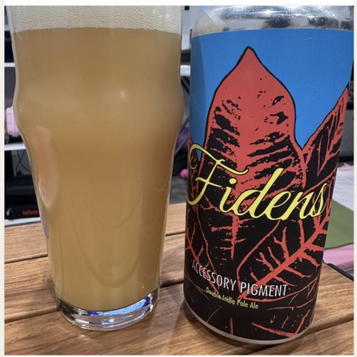 Fidens - Accessory Pigment (1 can)