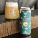 North Park - TDH Geometric Galaxy (2 cans)