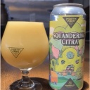 North Park - Squandering Citra QIPA (2 cans)