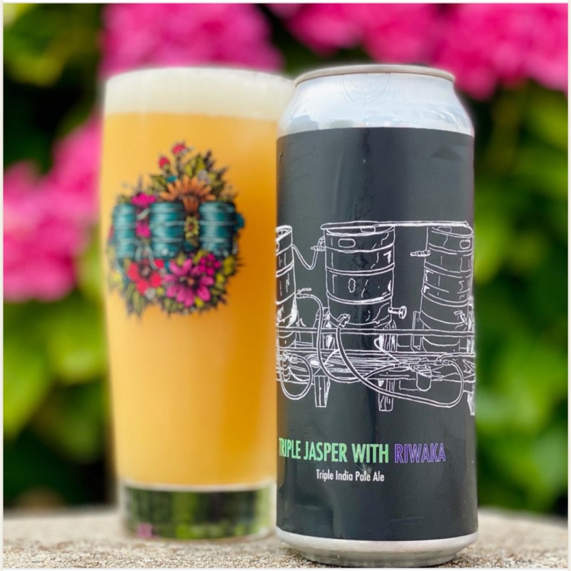 Fidens - Triple Jasper w/ Riwaka June 2024 release (1 can)