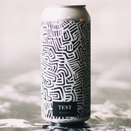 THE TEST - EL MURAL MEXICAN LAGER 4.5%