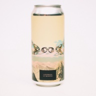 THE TEST / R + B / HUDSON VALLEY - CONTINUUM OF INFINITIES IMPERIAL IPA 10%