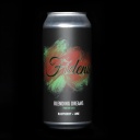 FIDENS BLENDING DREAMS FRUITED SOUR 5%