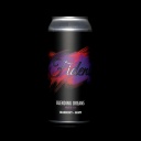 FIDENS BLENDING DREAMS (CRANBERRY + GRAPE) FRUITED SOUR 5%