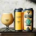 North Park / Electric - Electric Park (2 cans)