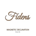 FIDENS MAGNETIC DECLINATION BROWN ALE 4.7%