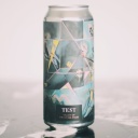 TEST VALLEY OF THE DYING STARS WEST COAST IPA 6.5%
