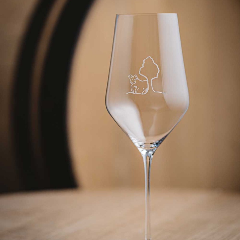 NEW Zalto Bokkereyder glass in box, handblown Denk'Art Bokke