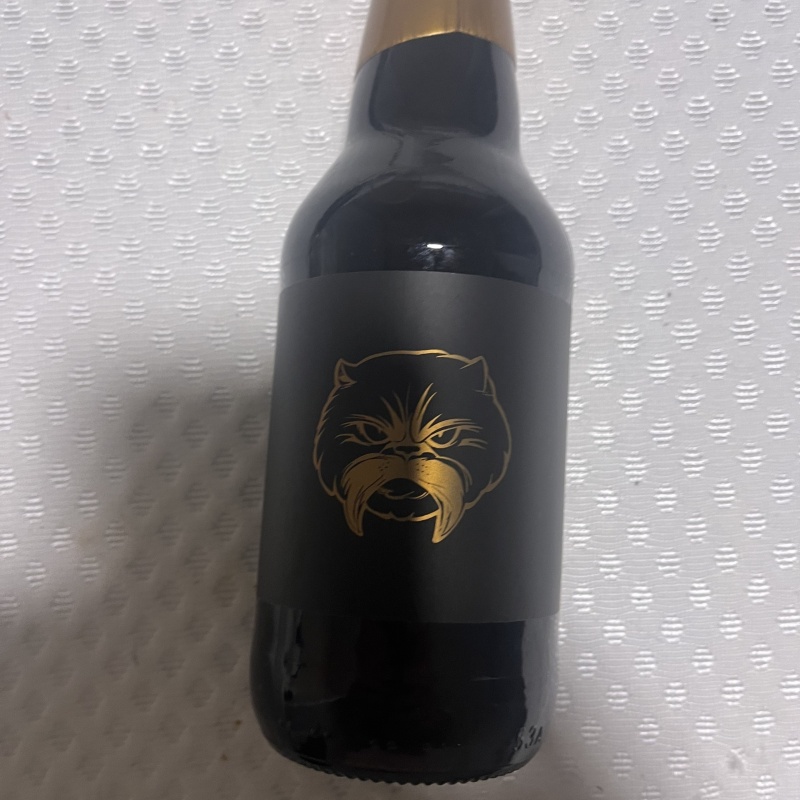 Angry Chair- BA Wilfred 2025