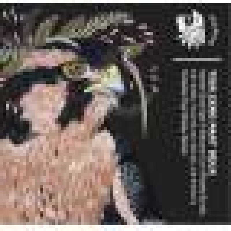 Horus  - Tier Zero Part Duex