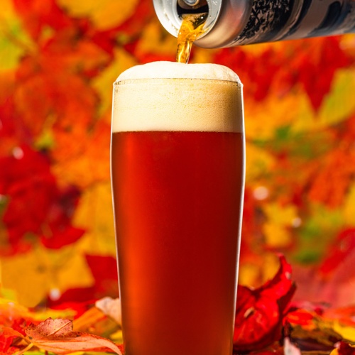 Tree House -- Brisk -- Sept 20th