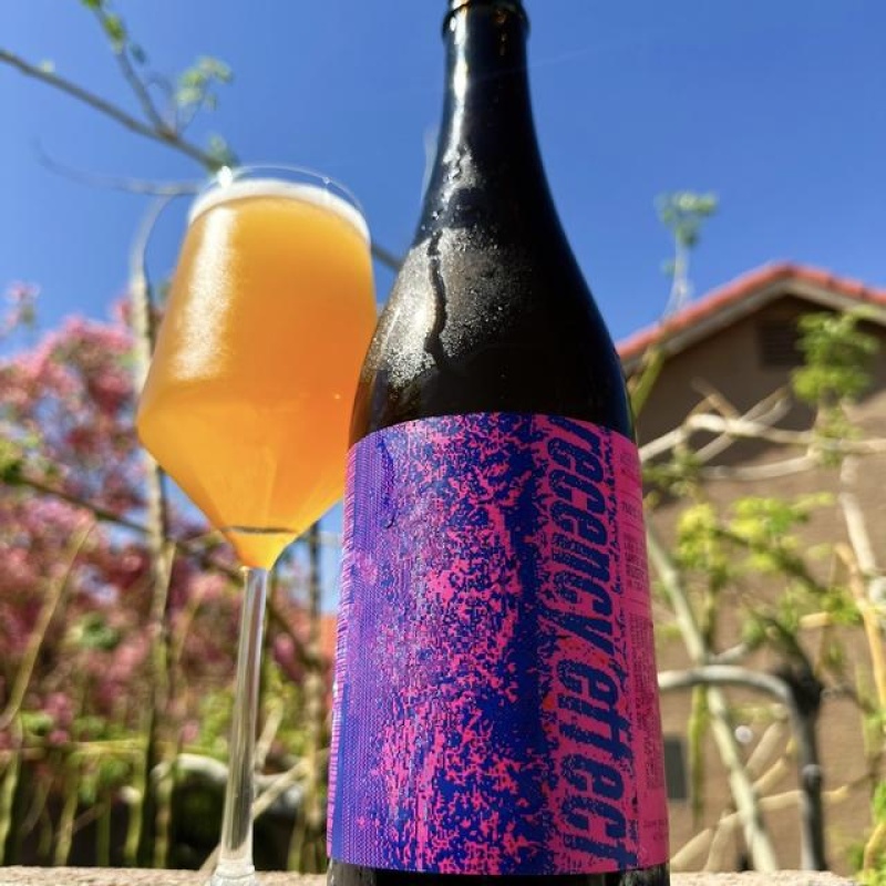 Sante Adairius Recency Effect Gin Barrel-Aged Sour Saison SARA Nov 2024