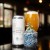 Trillium - Double Dry Hopped (DDH) Melcher St. IPA