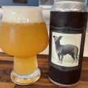 Freak Folk -- History of Dogs -- May 13th