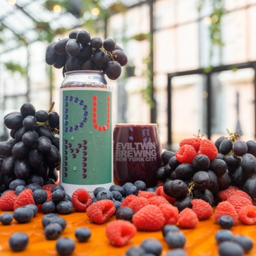 EVIL TWIN DUMB FRUIT 11 SOUR ALE 7%