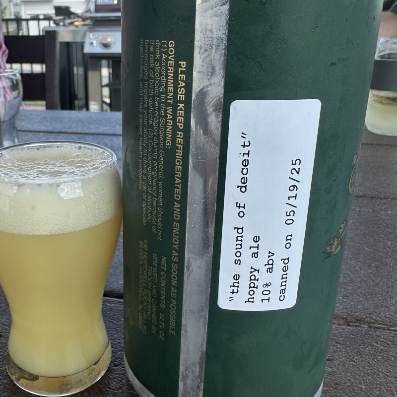 TROON The Sound of Deceit