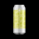 OTHER HALF HEARING VOICES IPA 6.3%