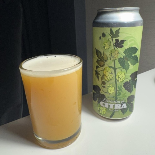 Tree House --Evolution of Citra Part Five -- April 2nd