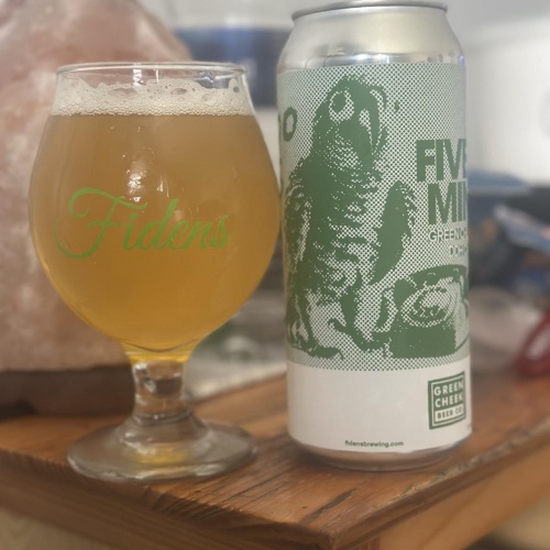 Fidens + Green Cheek -- A Looooong Five Minutes -- May 12th