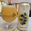 Trillium + Belleflower -- Campanula -- May 27th