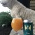 Hill Farmstead Citra IPA Canned 7/23