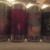 Other half collaboration mixed 4pk
