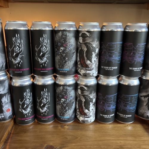 Fidens mixed 16 pack