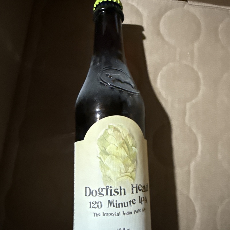 Dogfish Head 120 minute IPA