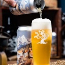 Tree House -- Meander -- July 15th