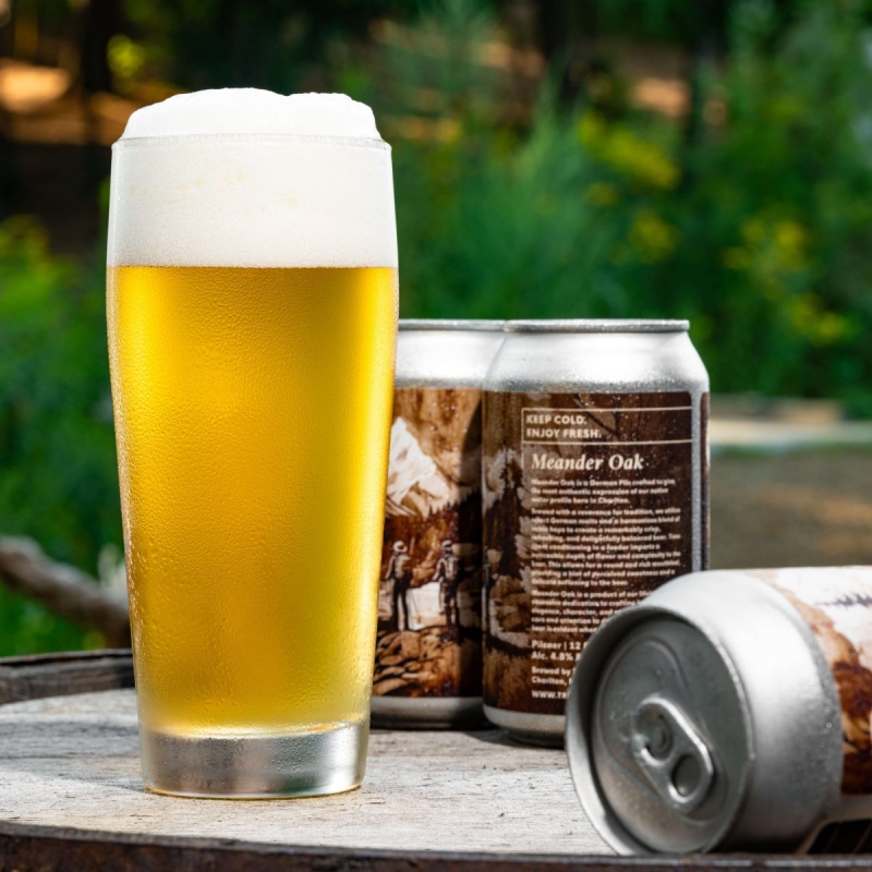 Tree House -- Meander Oak -- Aug 27th