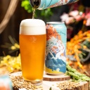 Tree House -- Edelweiss [Pale Perfect Crispy Lager] -- May 20th