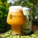 Tree House -- Evolution of Citra: Part Three -- Jan 30th