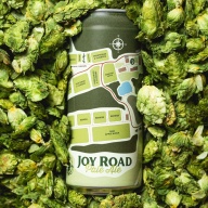 Tree House Woodstock -- Joy Road (Woodstock) -- Jan 2026