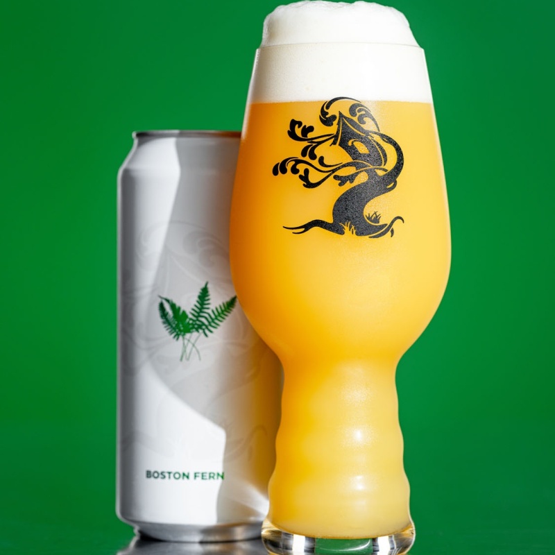 Tree House -- Boston Fern -- May 22nd