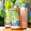 Tree House -- Hazy Ripper -- Jan 30th